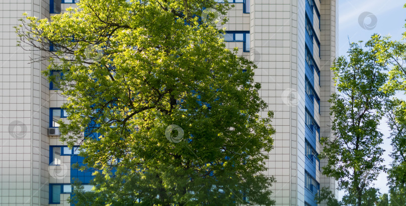 Скачать Фрагмент городского офисного здания с окнами фотосток Ozero