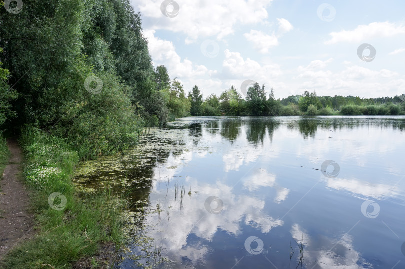 Скачать Отражение деревьев и облаков на поверхности воды фотосток Ozero