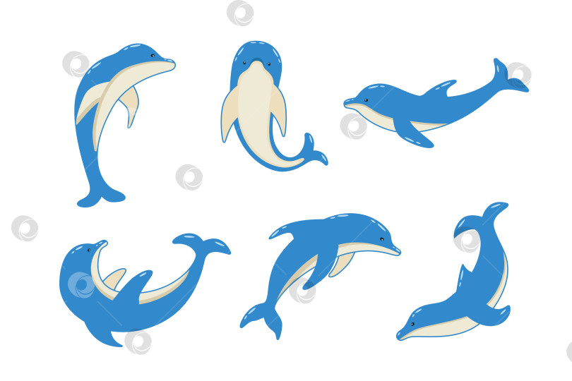 Скачать Набор мультяшных дельфинов в разных позах, векторная иллюстрация морских животных. Нарисованные дельфины плавают. фотосток Ozero