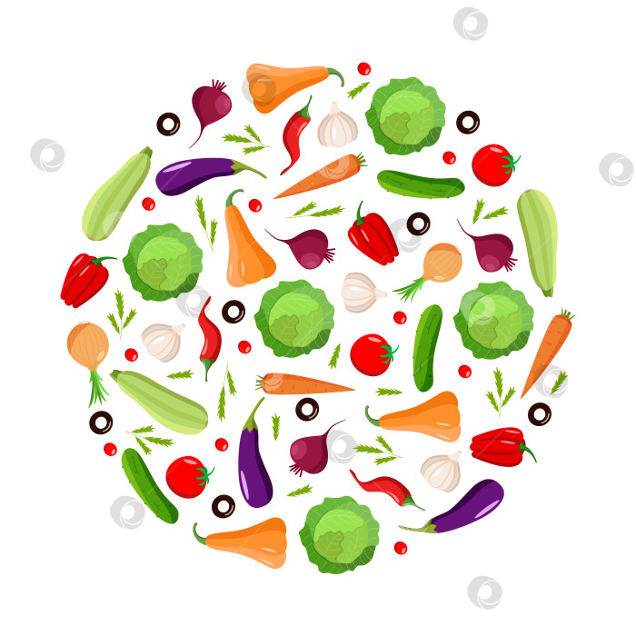 Скачать Набор свежих органических овощей, векторная иллюстрация осеннего урожая. фотосток Ozero
