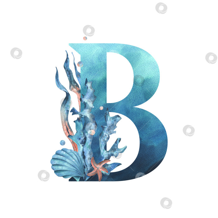 Скачать Заглавная буква B, часть латинского алфавита, оформлена в водной тематике с использованием кораллов, ракушек, водорослей, пузырьков, синего и кораллового цветов. Иллюстрация, выполненная акварелью от руки. Элемент, выделенный на фоне. фотосток Ozero
