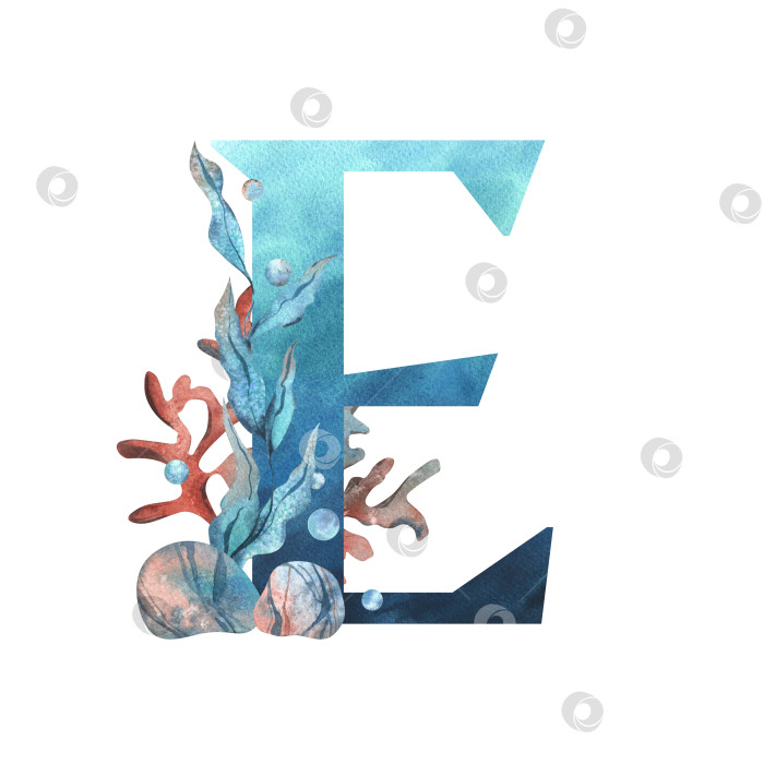Скачать Заглавная буква E, часть латинского алфавита, оформлена в водной тематике с использованием кораллов, ракушек, водорослей, пузырьков, синего и кораллового цветов. Иллюстрация выполнена акварелью от руки. Элемент, выделенный на фоне. фотосток Ozero
