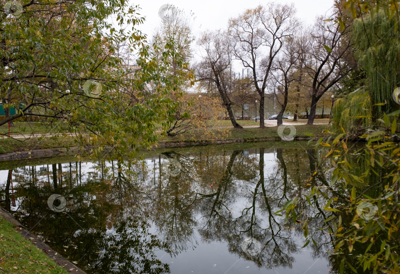 Скачать Осенний пейзаж фотосток Ozero