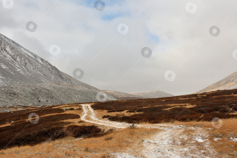 Скачать Извилистая полевая дорога, покрытая первым снегом, пересекает холмы и ведет в живописную долину, окруженную заснеженными горами. фотосток Ozero
