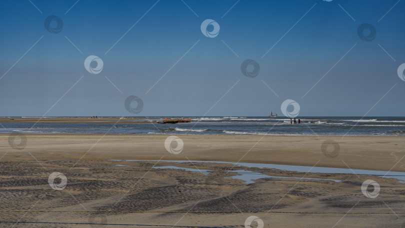 Скачать Отлив в океане. На обнажившемся песке видны лужицы воды. фотосток Ozero