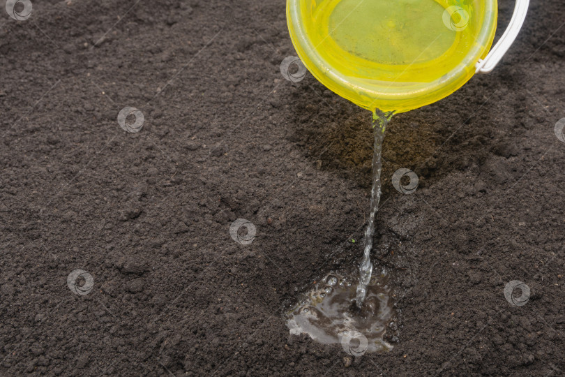 Скачать Фермер наливает воду из ведра в ямку в земле для посадки рассады фотосток Ozero