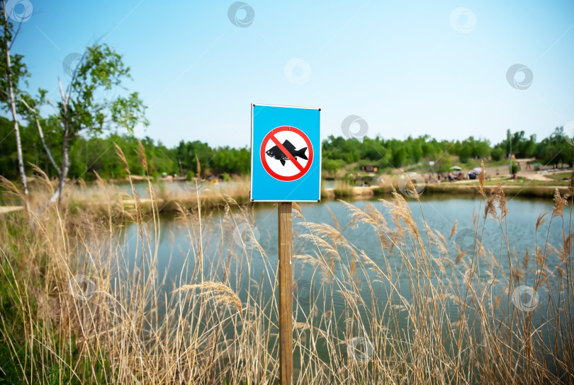 Скачать На озерах и в лесу парка установлен запрещающий знак, запрещающий рыбалку. фотосток Ozero