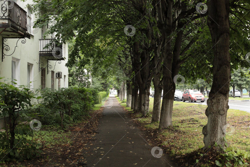 Скачать в городе фотосток Ozero