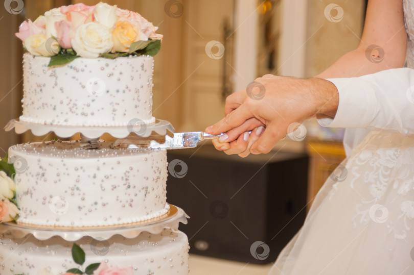 Скачать жених и невеста разрезают свадебный торт. фотосток Ozero