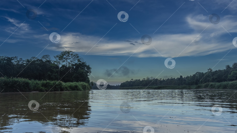 Скачать Спокойная тропическая река на рассвете. фотосток Ozero