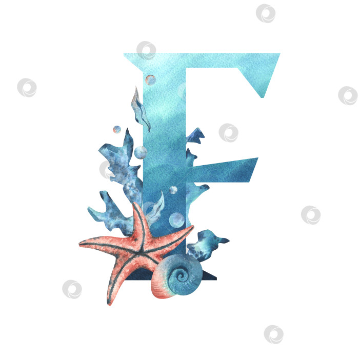 Скачать Заглавная буква F, часть латинского алфавита, оформлена в водной тематике с использованием кораллов, ракушек, водорослей, пузырьков, синего и кораллового цветов. Иллюстрация выполнена акварелью от руки. Элемент, выделенный на фоне. фотосток Ozero
