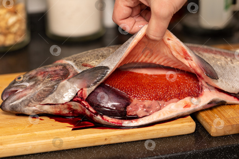 Скачать Разделанная форель, свежая рыба с икрой фотосток Ozero