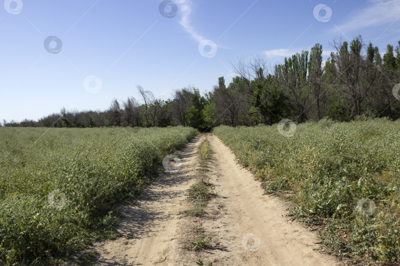 Скачать Проселочная дорога фотосток Ozero