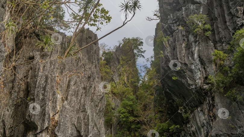Скачать Отвесные карстовые скалы. На изрезанных камнями склонах растет зеленая тропическая растительность. фотосток Ozero