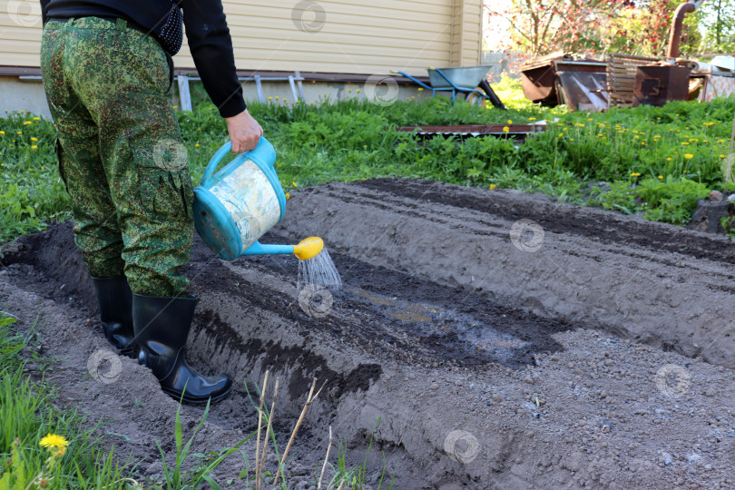 Скачать Пенсионер поливает из лейки грядку с луковицами весной в тени за домом фотосток Ozero