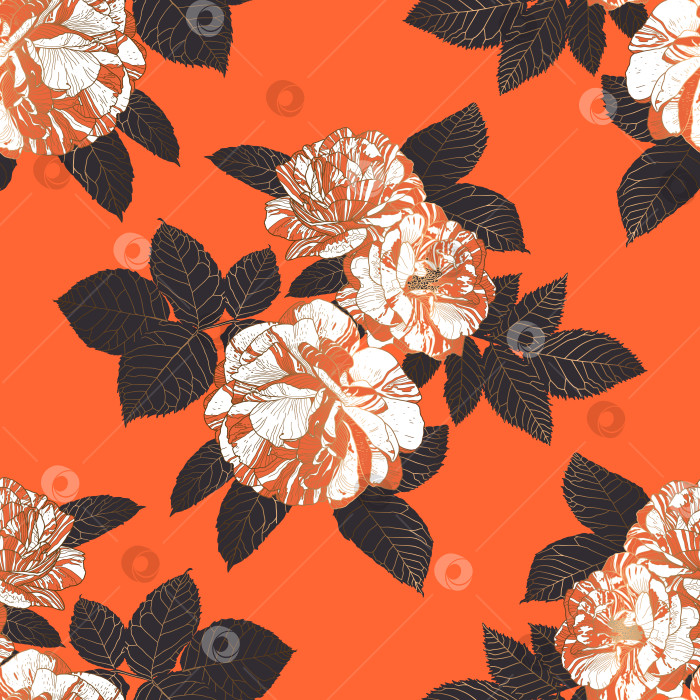 Скачать Бесшовный роскошный полукапельный узор из белых и оранжевых роз с золотым контуром, серыми листьями на оранжевом фоне фотосток Ozero
