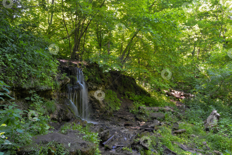 Скачать Лесной водопад фотосток Ozero