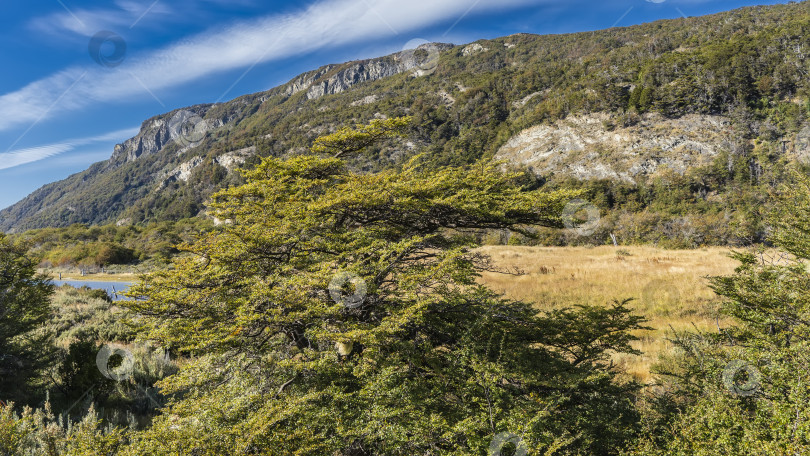 Скачать Прекрасный осенний пейзаж Патагонии. фотосток Ozero