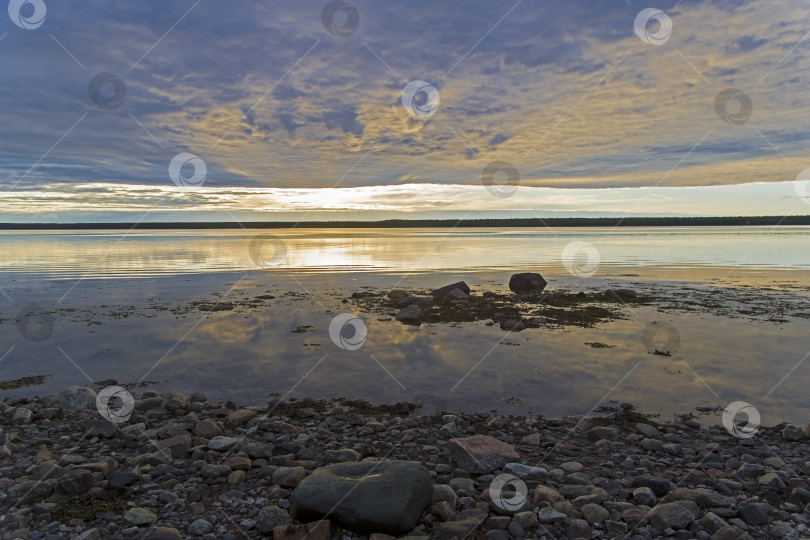 Скачать Вечер на берегу Белого моря. фотосток Ozero