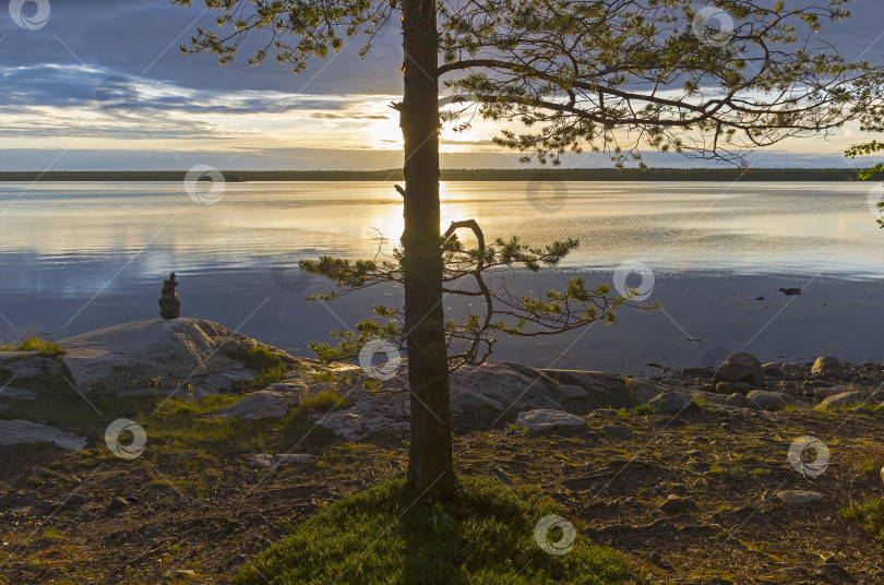 Скачать Вечер на берегу Белого моря. фотосток Ozero