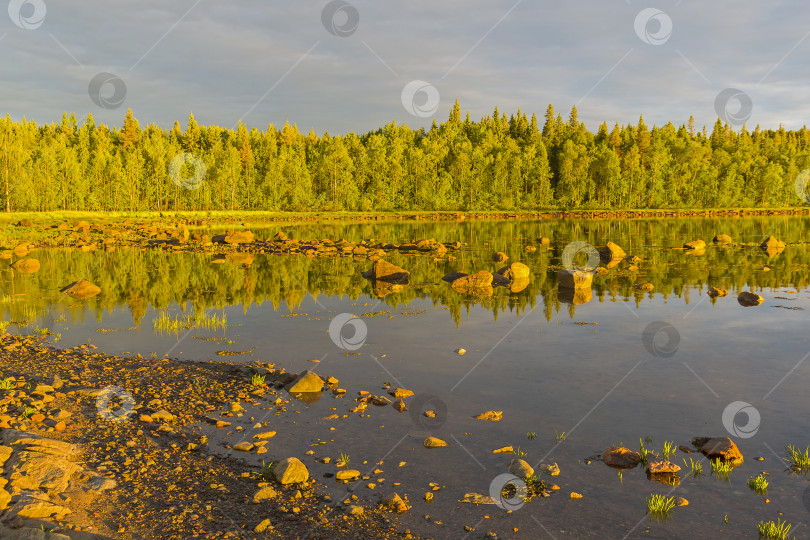 Скачать Берег Белого моря в лучах вечернего солнца. фотосток Ozero