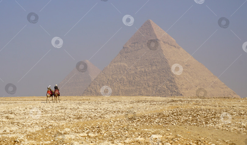 Скачать Два египтянина едут верхом на верблюдах к пирамидам фотосток Ozero