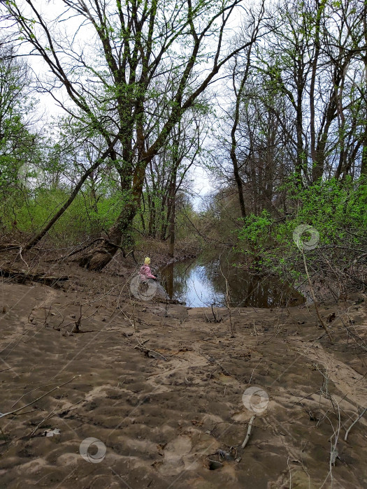 Скачать прекрасный весенний лес фотосток Ozero