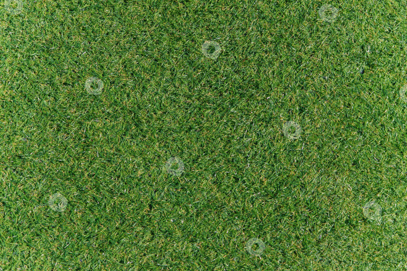 Скачать Текстура зеленой искусственной травы.Покрытие для спортивных стадионов и декораций. фотосток Ozero