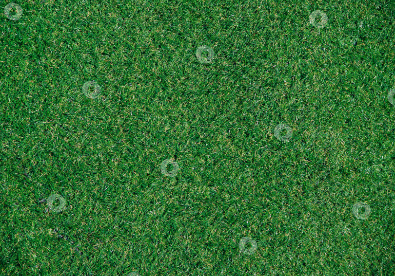 Скачать Текстура зеленой искусственной травы.Покрытие для спортивных стадионов и декораций. фотосток Ozero