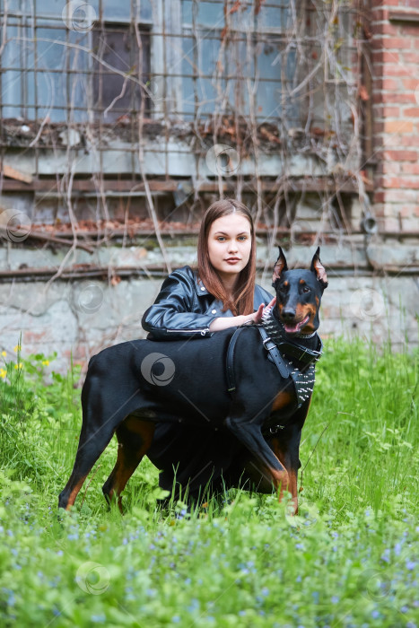 Скачать Девочка-подросток на улице со своим домашним животным. Собака доберман на поводке. Стильный образ фотосток Ozero