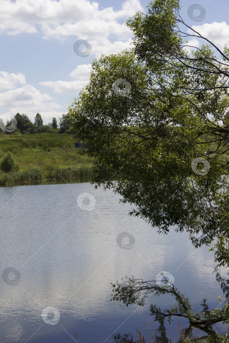 Скачать Пейзаж с озером и деревьями на фоне голубого неба фотосток Ozero