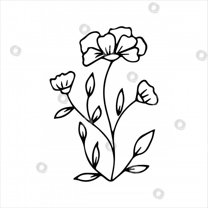 Скачать рисованный каракулями растительный элемент для концепции цветочного дизайна фотосток Ozero