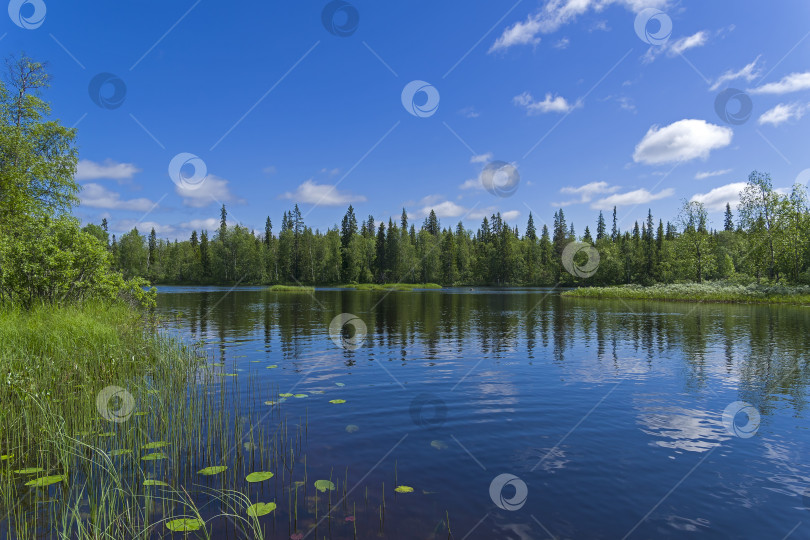 Скачать Плес на реке Кереть. Карелия, Россия. фотосток Ozero