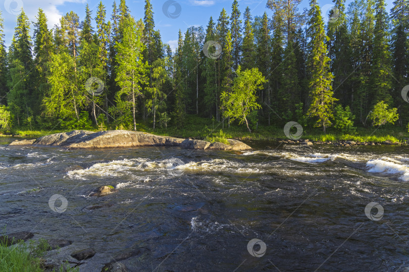 Скачать Река в Карелии, Россия. фотосток Ozero