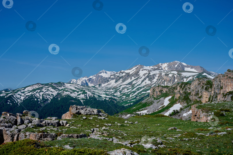 Скачать Горное плато, заснеженный горный пейзаж и цветущая земля фотосток Ozero