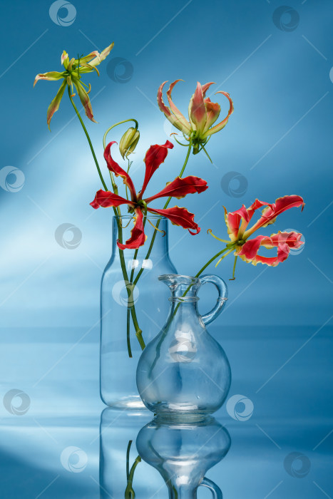 Скачать Цветы огненной лилии в вазах. фотосток Ozero