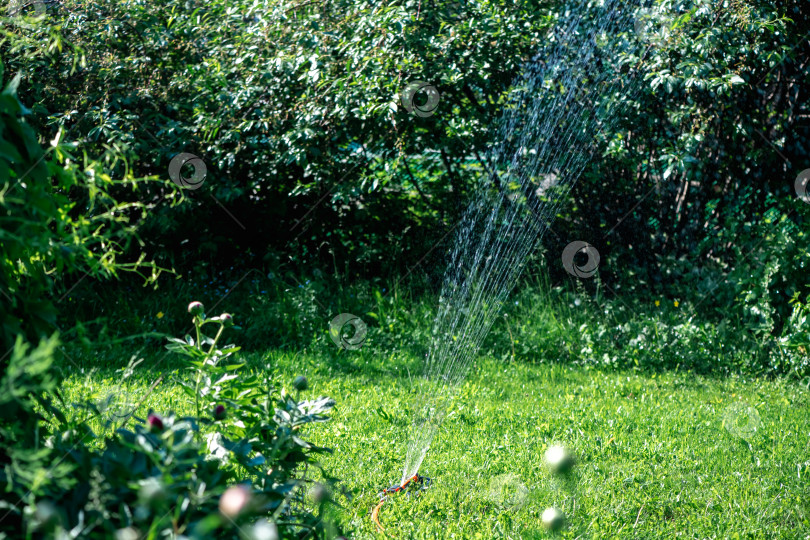Скачать Ландшафтная автоматическая система полива сада фотосток Ozero