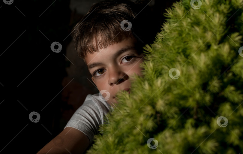 Скачать Портретное изображение маленького мальчика, отдыхающего ночью на приусадебном участке фотосток Ozero