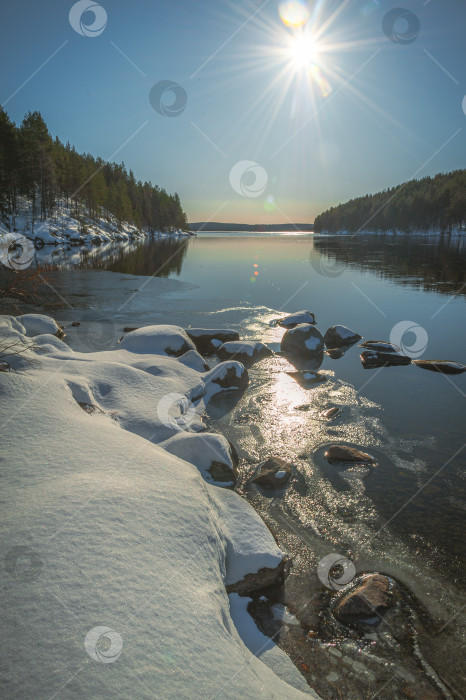 Скачать Весеннее русло фотосток Ozero