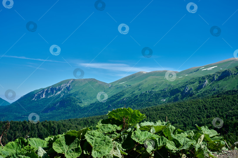 Скачать Гора Пшеха-Су. Адыгея. Краснодарский край фотосток Ozero