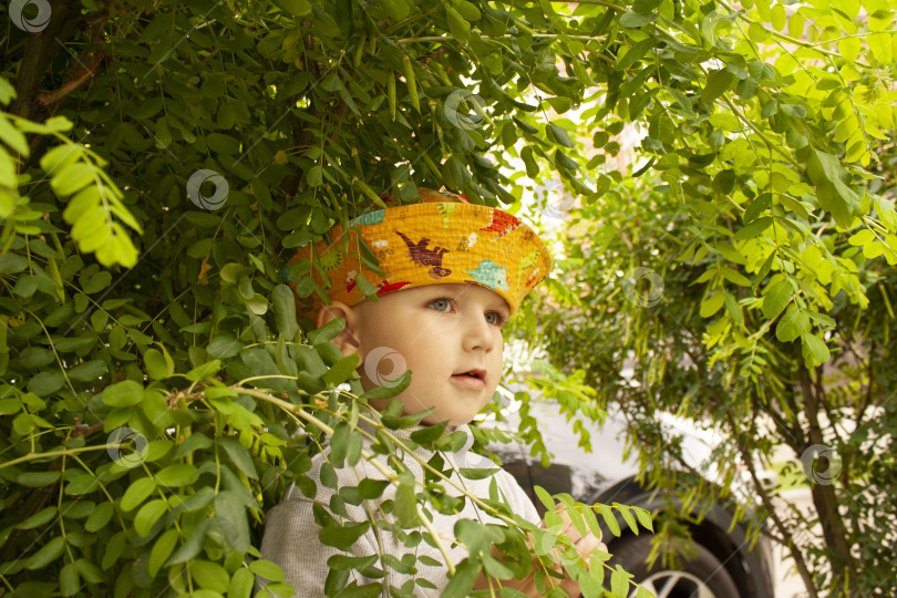 Скачать портрет ребенка в яркой летней панаме на улице с множеством растений фотосток Ozero