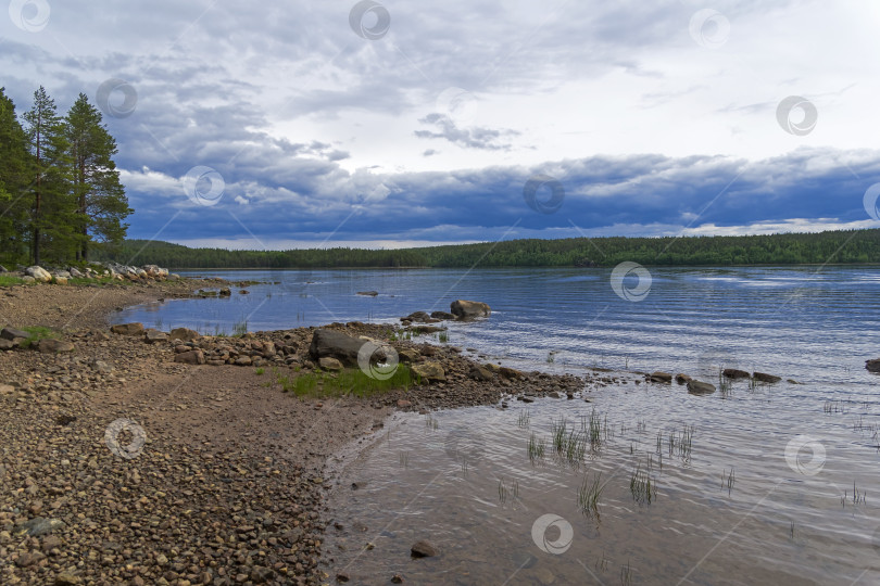 Скачать Прибрежная зона во время отлива. фотосток Ozero