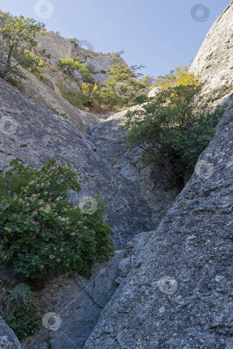 Скачать Русло реки, пробитое в камне дождевой и талой водой. Крымские горы. фотосток Ozero