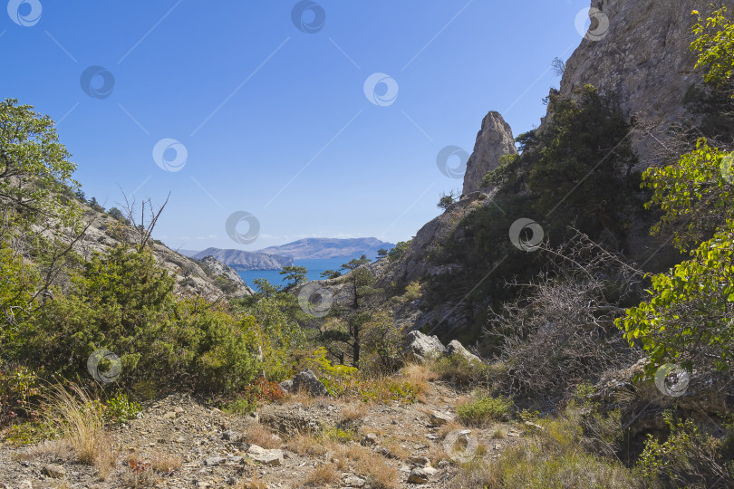 Скачать Небольшое ущелье в Крымских горах. фотосток Ozero