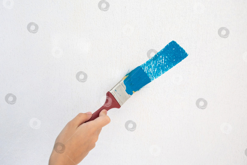 Скачать Рука ребенка рисует белую стену синей краской мазком кисти фотосток Ozero