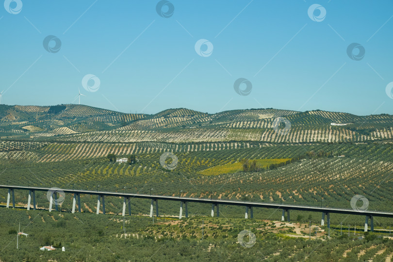 Скачать Оливковые деревья и фруктовые сады-виноградники с автомобильным мостом и ветряными электростанциями на холмах. фотосток Ozero