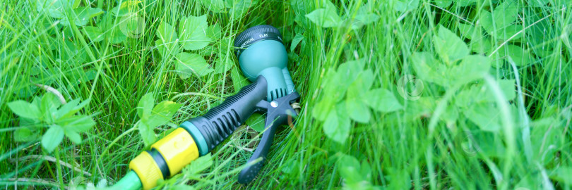 Скачать насадка разбрызгивателя среди зеленой травы на газоне фотосток Ozero