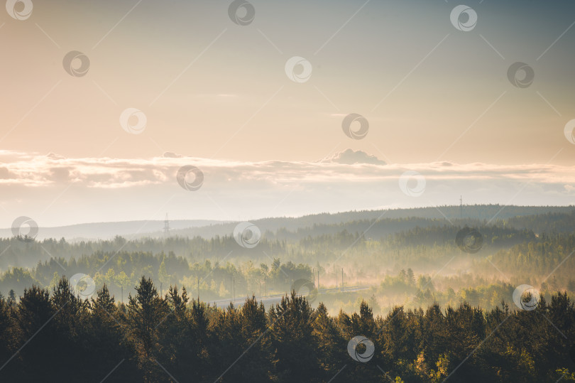 Скачать Ранее утро в тумане фотосток Ozero