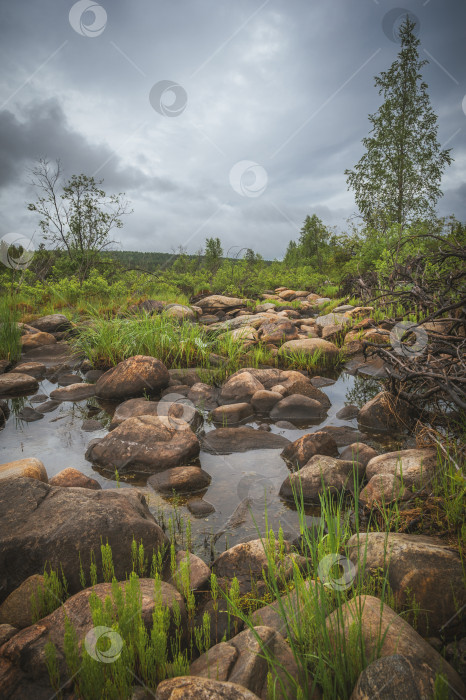 Скачать Опустевшее русло фотосток Ozero