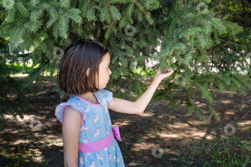 Скачать Маленькая девочка с любопытством прикасается к еловой ветке весной в парке фотосток Ozero